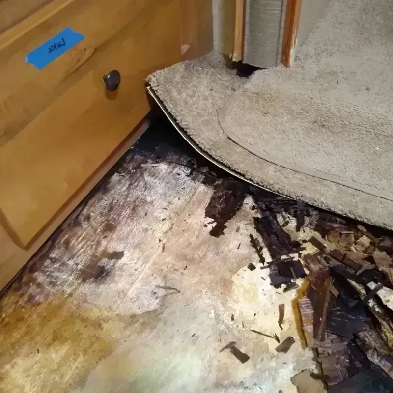 Best Wood Floor Water Damage Service in Whetstone, AZ